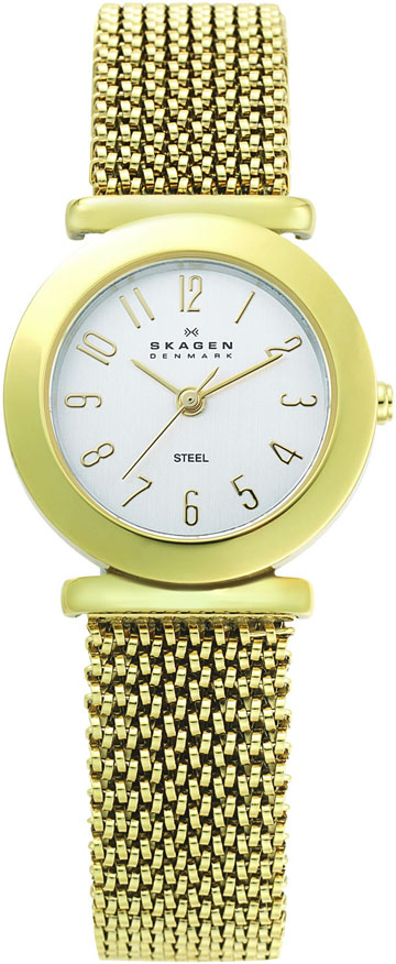 Ladies Skagen Watch 107SGG1