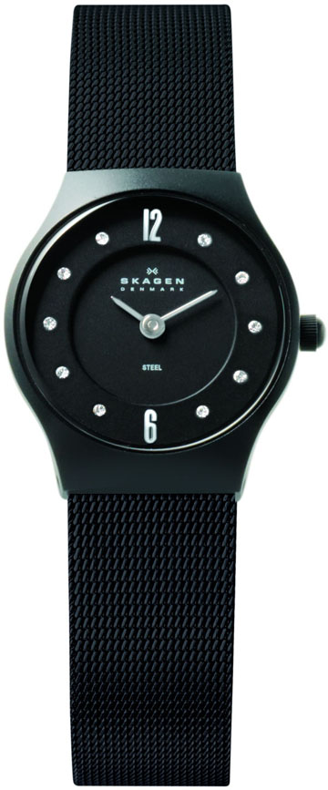 Ladies Skagen Watch 233XSBSB