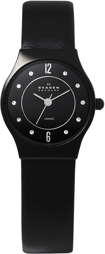 Ladies Skagen Watch 233XSCLB