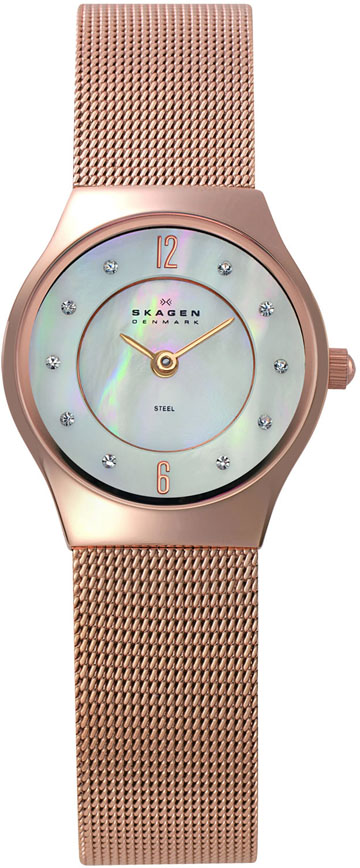 Ladies Skagen Watch 233XSRR