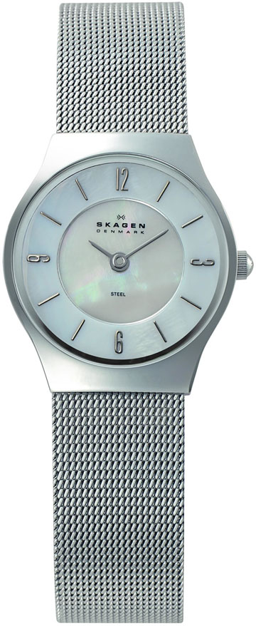 Ladies Skagen Watch 233XSSS