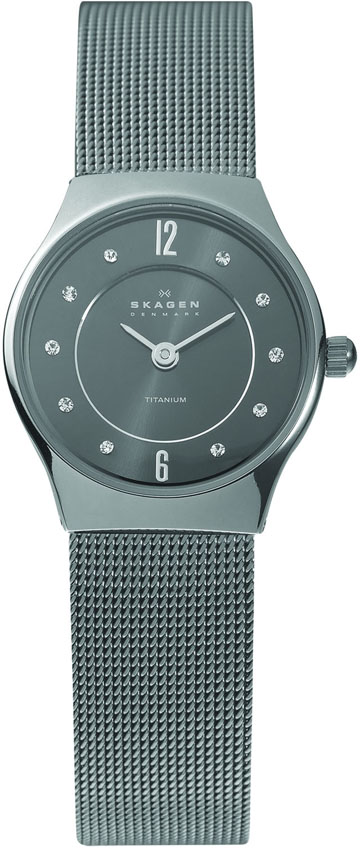 Ladies Skagen Watch 233XSTTM