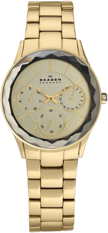 Ladies Skagen Watch 344LGXG