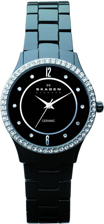 Ladies Skagen Watch 347SBXBC