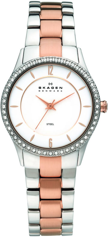 Ladies Skagen Watch 347SSRX