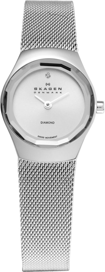 Ladies Skagen Watch 432SSSS