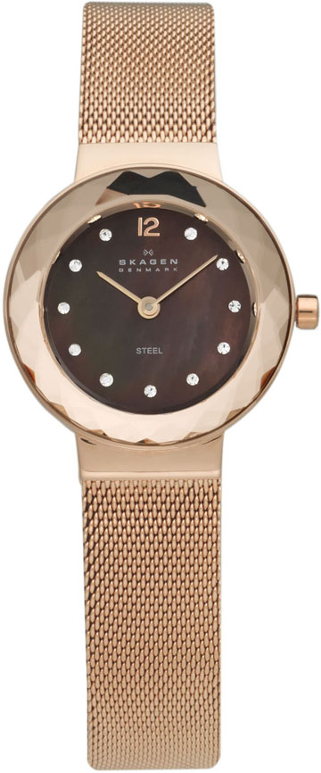 Ladies Skagen Watch 456SRR1