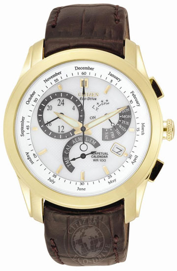 Mens Citizen Watch BL8002-08A