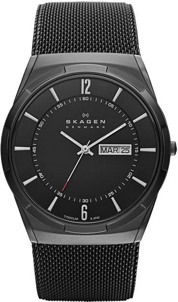 Mens Skagen Watch SKW6006